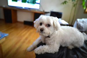 Uber Exif Photo