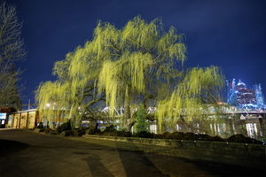 Uber Exif Photo
