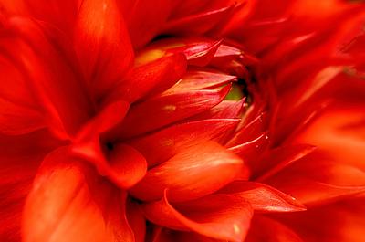 Uber Exif Photo