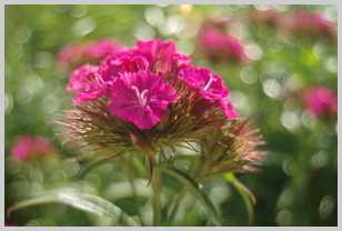 Uber Exif Photo