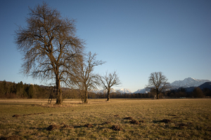 Uber Exif Photo