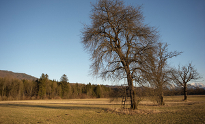 Uber Exif Photo