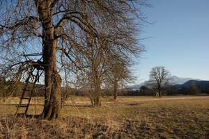 Uber Exif Photo