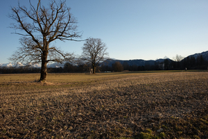 Uber Exif Photo