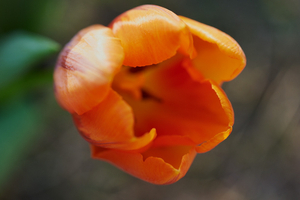 Uber Exif Photo
