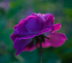 Uber Exif Photo