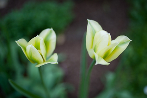 Uber Exif Photo