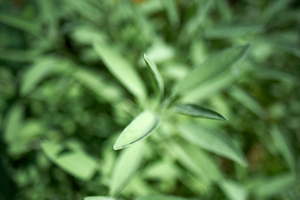 Uber Exif Photo