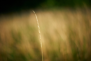 Uber Exif Photo