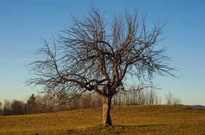 Uber Exif Photo
