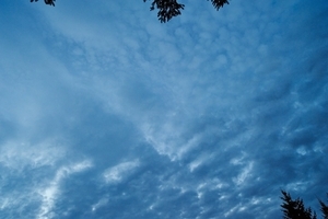 Uber Exif Photo