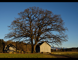 Uber Exif Photo