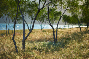 Uber Exif Photo