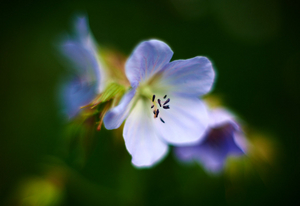 Uber Exif Photo