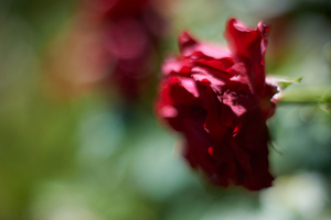 Uber Exif Photo