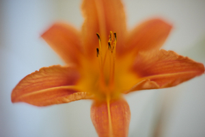 Uber Exif Photo