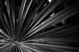Uber Exif Photo