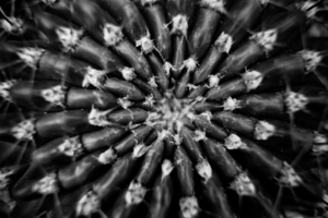 Uber Exif Photo