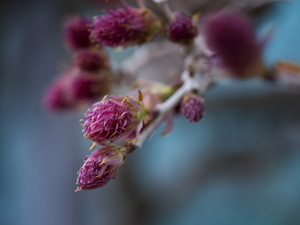 Uber Exif Photo