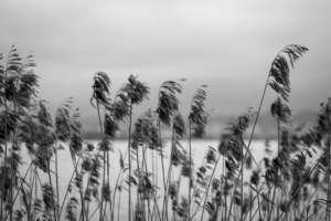 Uber Exif Photo