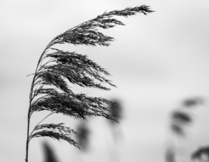 Uber Exif Photo