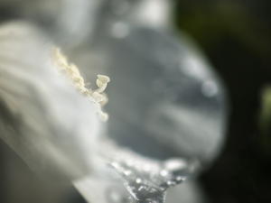 Uber Exif Photo
