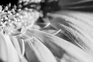Uber Exif Photo