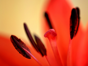 Uber Exif Photo