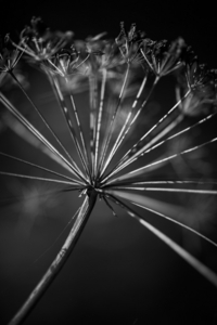 Uber Exif Photo