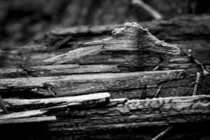 Uber Exif Photo
