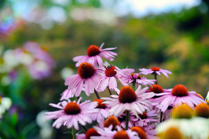 Uber Exif Photo