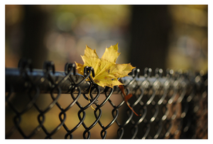 Uber Exif Photo