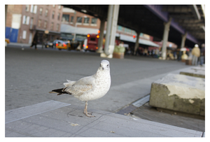 Uber Exif Photo