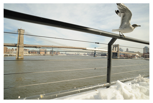 Uber Exif Photo