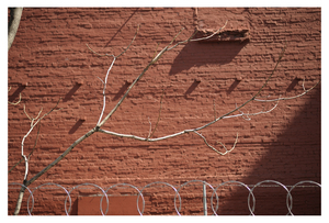 Uber Exif Photo