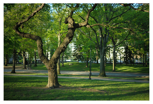 Uber Exif Photo