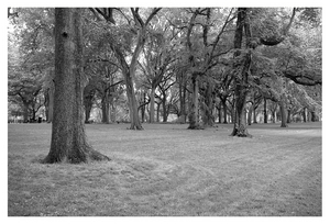 Uber Exif Photo