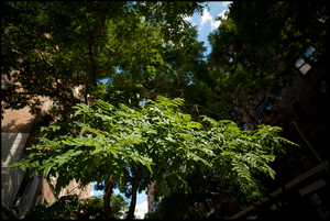Uber Exif Photo