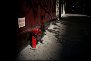 Uber Exif Photo