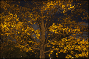 Uber Exif Photo