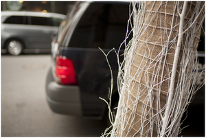 Uber Exif Photo