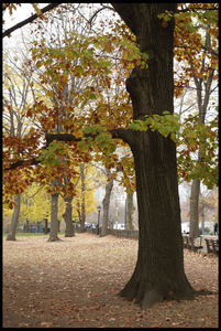 Uber Exif Photo