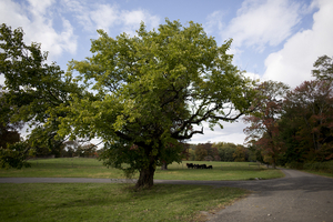 Uber Exif Photo