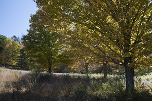 Uber Exif Photo