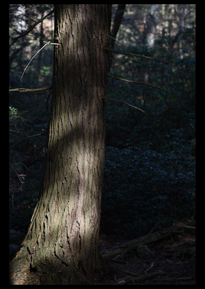 Uber Exif Photo